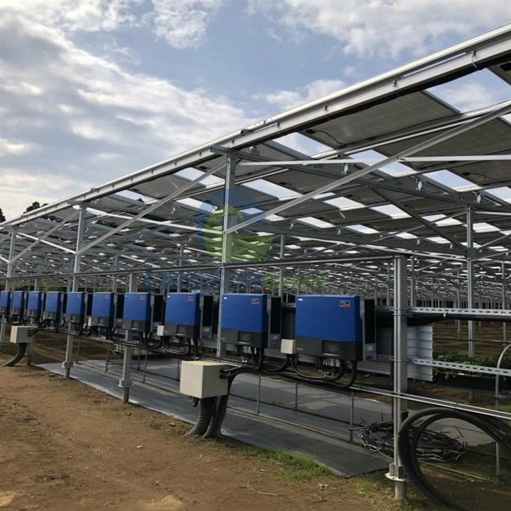 Agrivoltaic Solar Mounting System factory